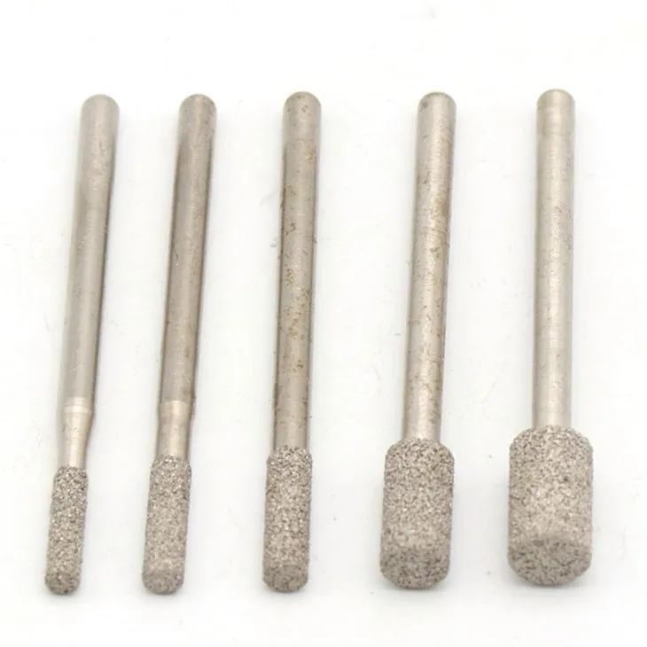 حشرة إبرة الماس